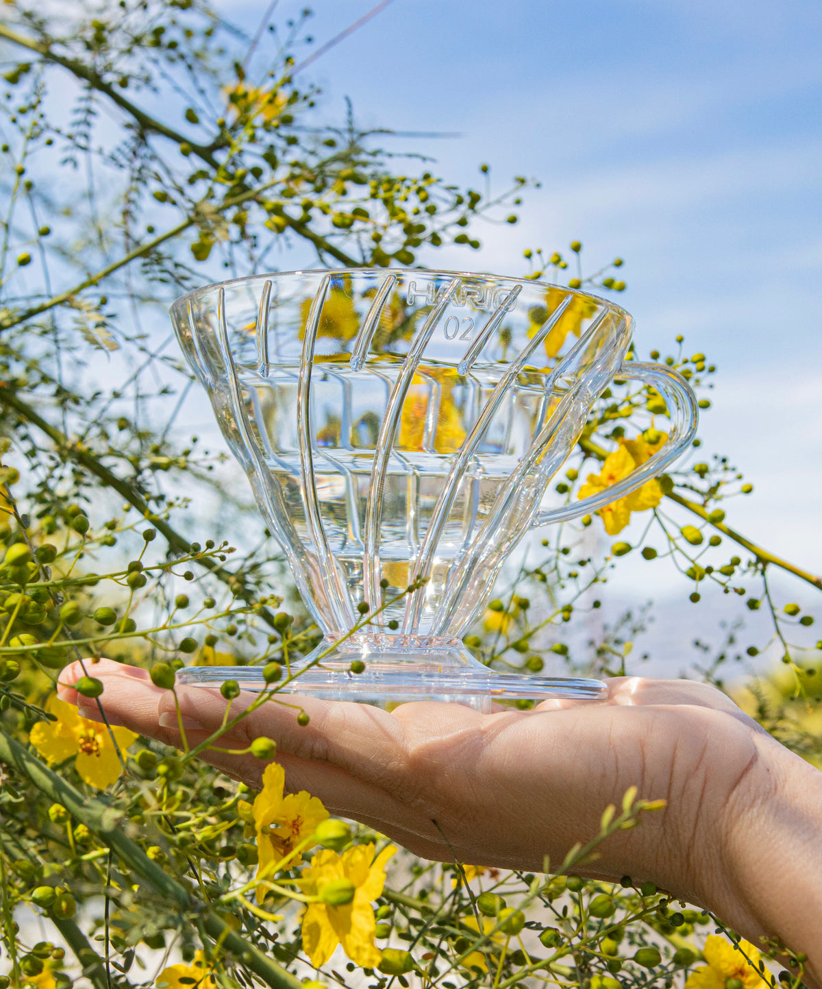 Clear all plastic cone shaped dripper with handle and round base on a model's hand with an outdoor background of blue sky and a yellow flowering bush.