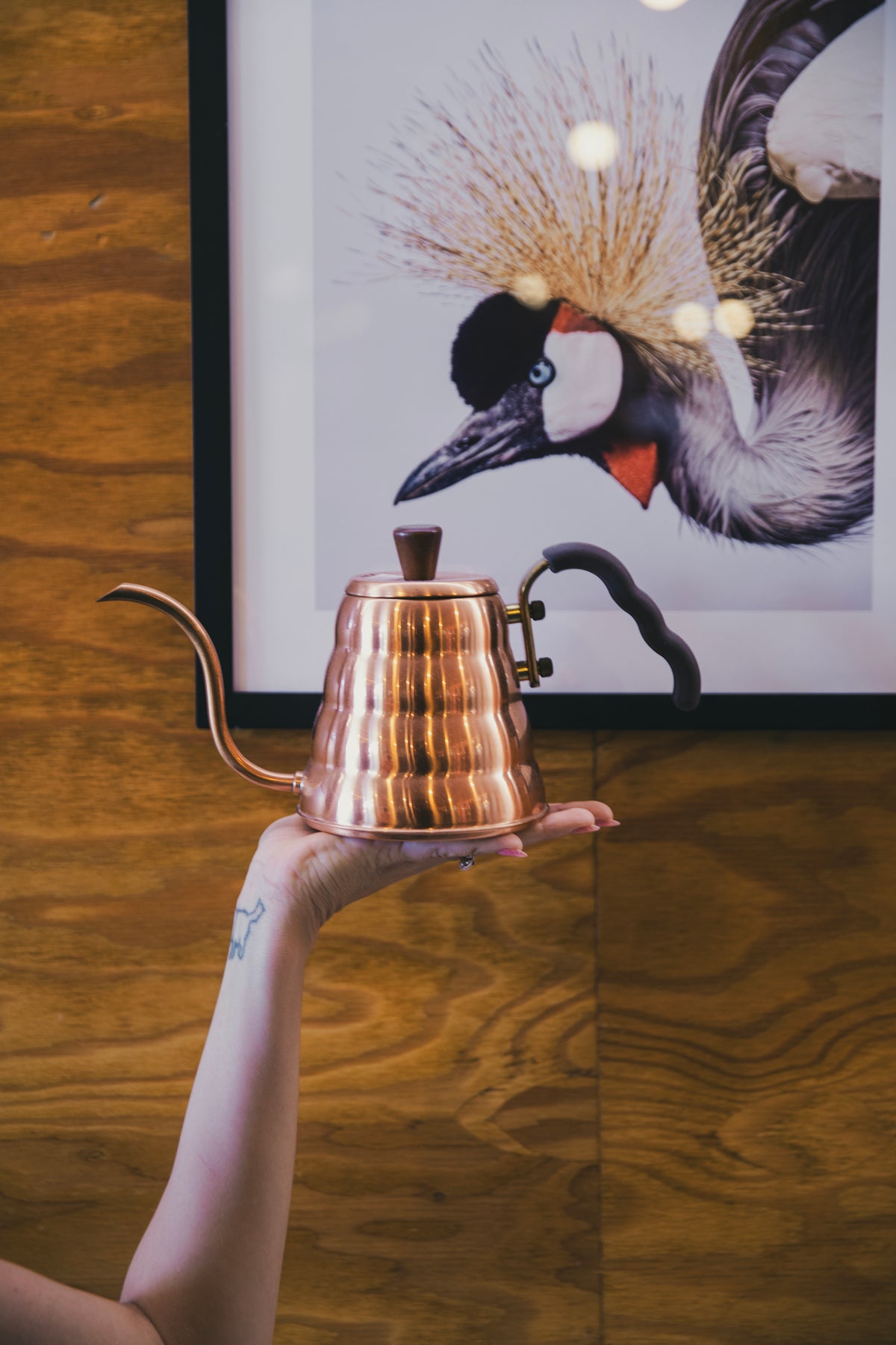 Copper kettle held by a hand in front of a framed picture of a bird on a wooden surface.