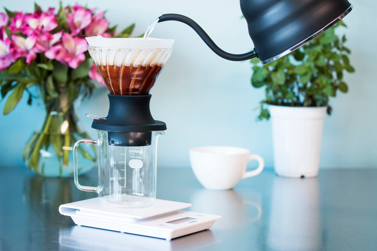 V60 SWITCH Glass Dripper and Server Set 02